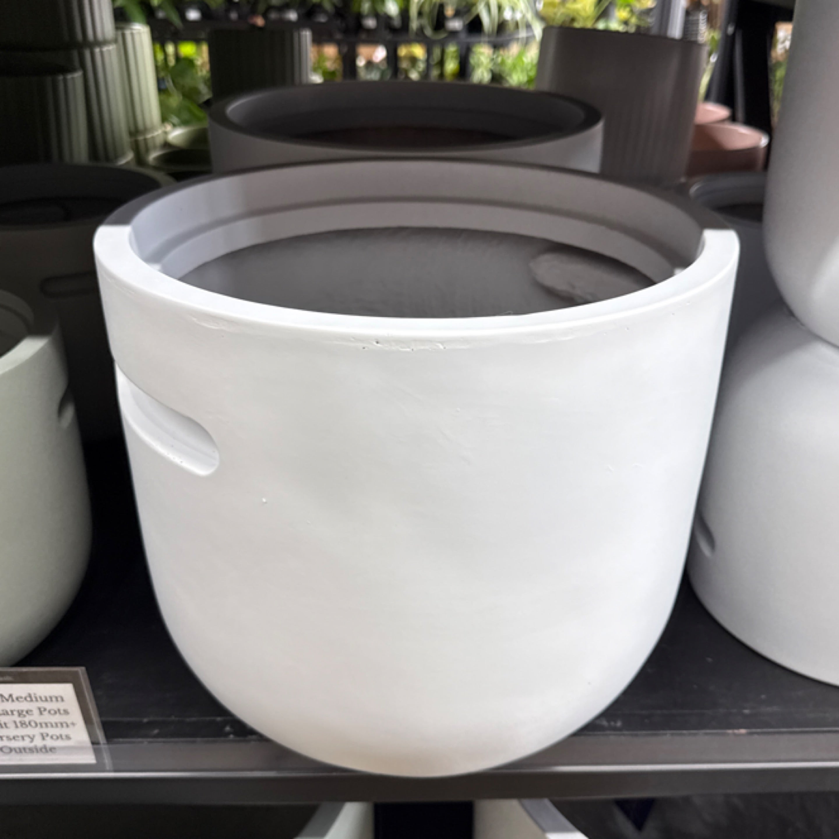 Ash Lightweight Pot White | Exotic Botanic