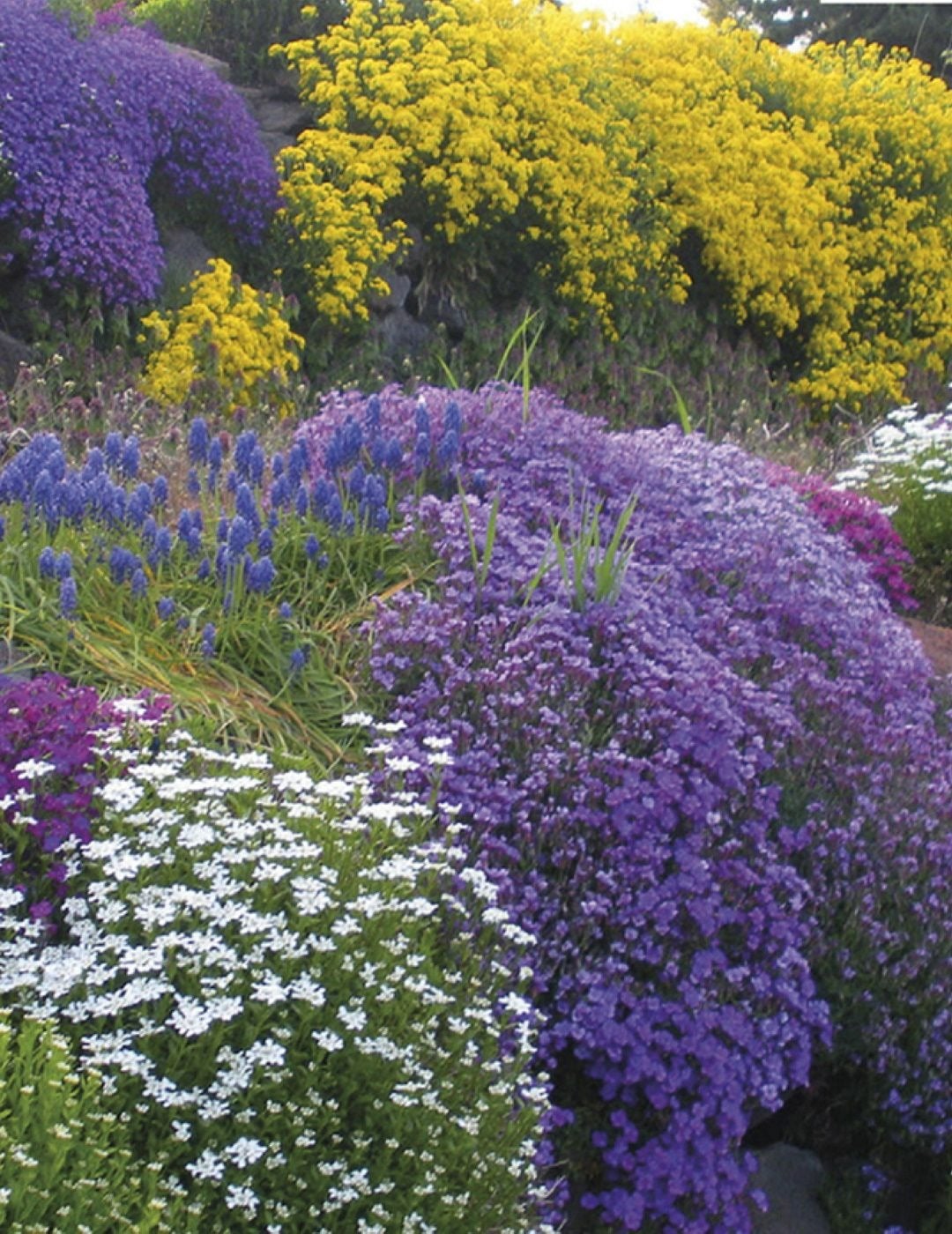 1 4 1 2 Answer 1 4 1 2 Answer