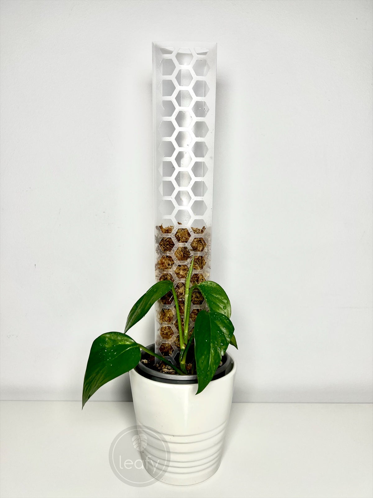 large white planter pot Kevan Essentials Plant Pot - Matt White - Quality Indoor Plant Pots |  Hortology