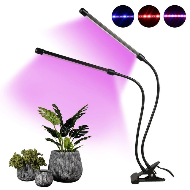 Wish grow deals lights